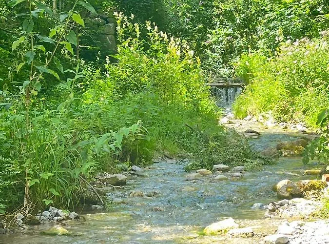 Mondholz - Urban 24-7